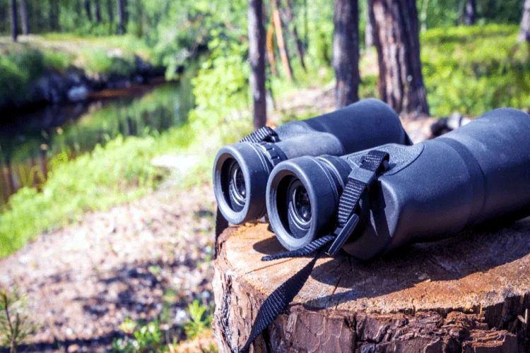 Best-Rangefinder-Binoculars