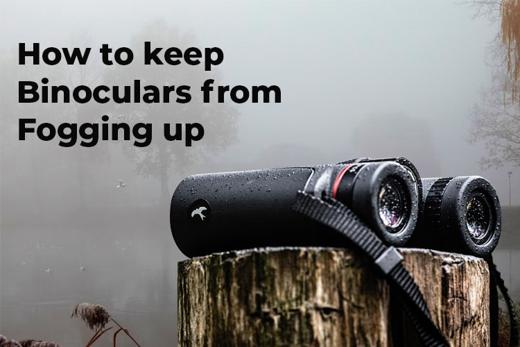 how to keep binoculars from fogging up