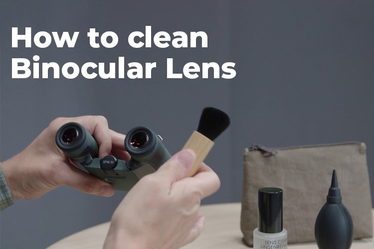 How to Clean Binoculars Lens