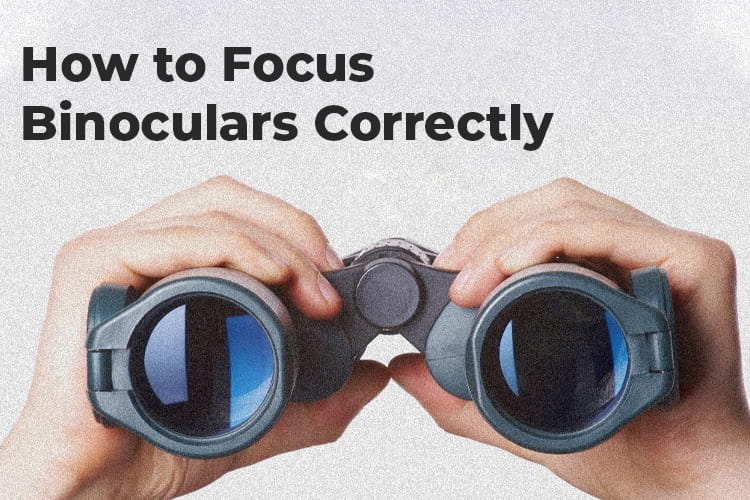 How to Focus Binoculars Correctly