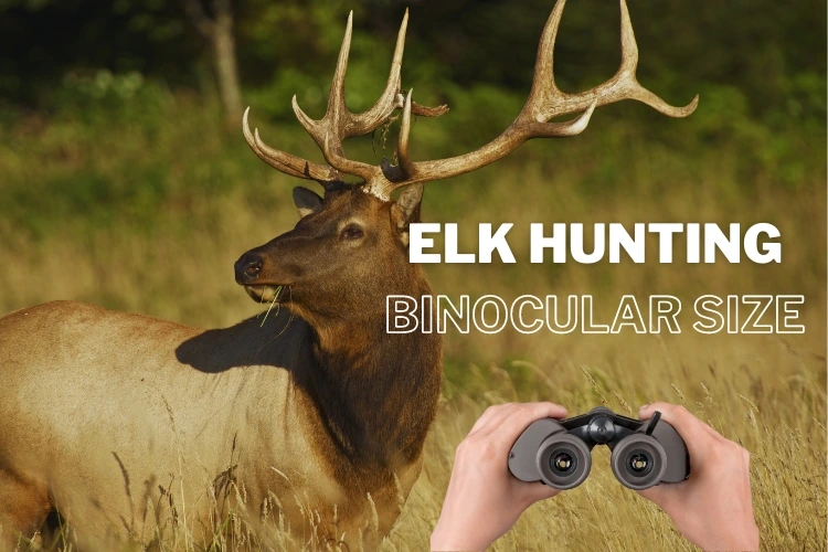 Elk Hunting Binocular Size
